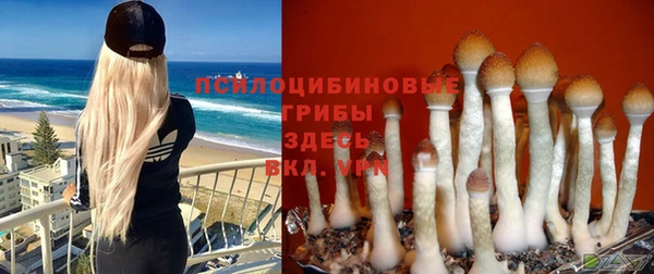 синтетический гашиш Медногорск