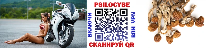 Галлюциногенные грибы мухоморы  цена наркотик  дарк нет телеграм  Мышкин 